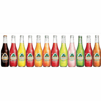 Jarritos Variety Pack Soda